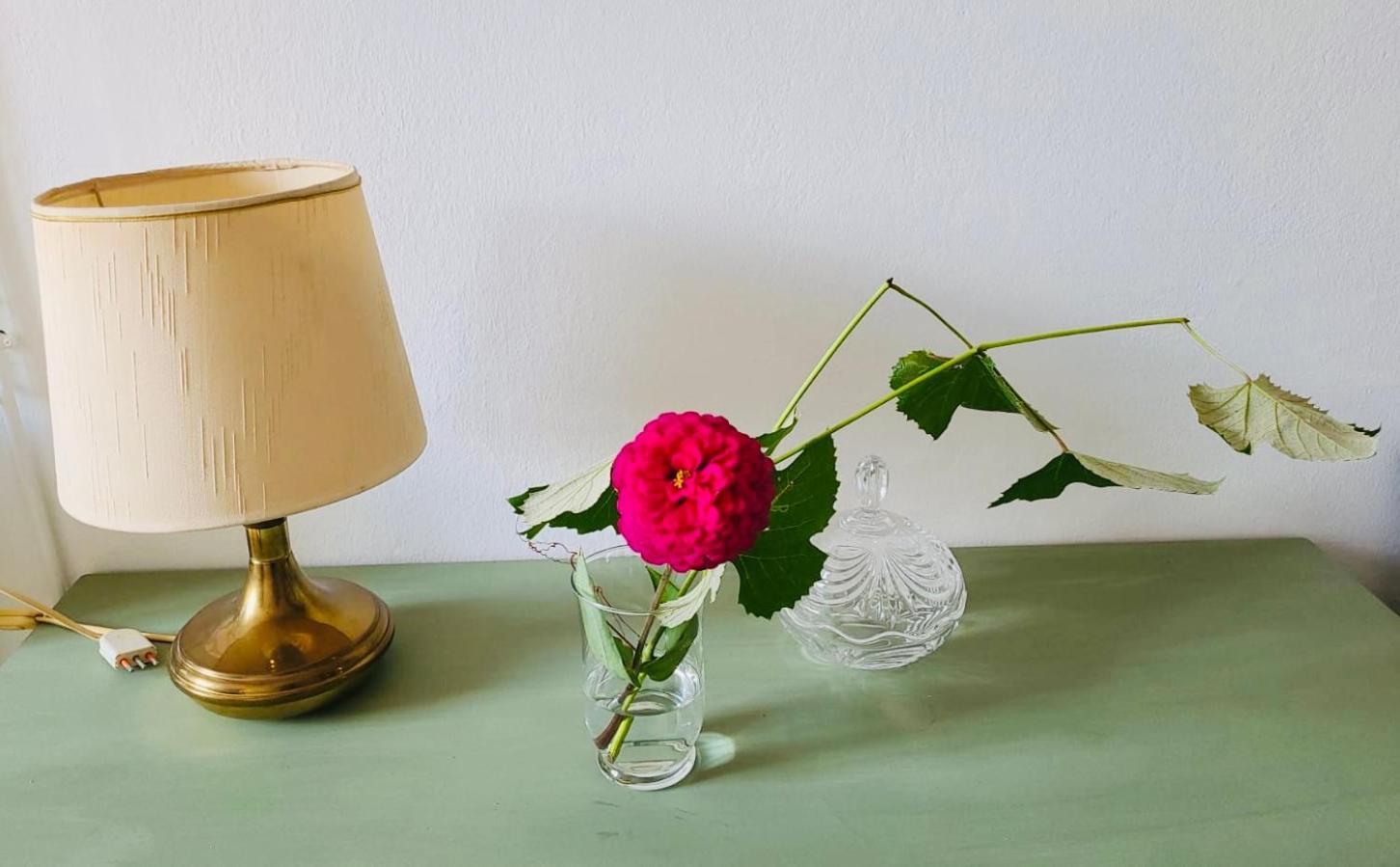Antica Casa Storica Con Giardino Apartment โดโมดอสโซลา ภายนอก รูปภาพ