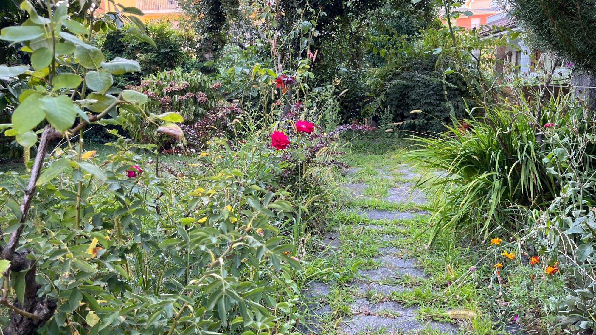 Antica Casa Storica Con Giardino Apartment โดโมดอสโซลา ภายนอก รูปภาพ